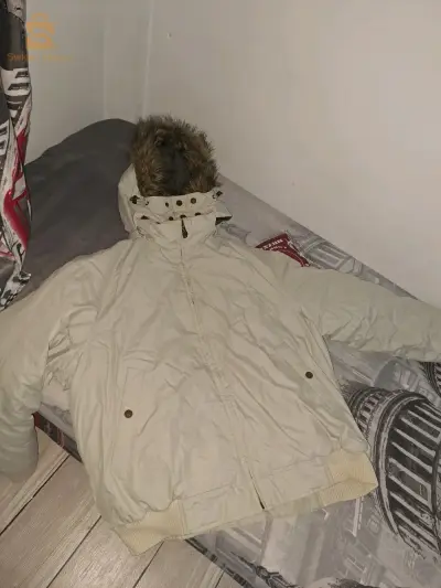 veste  timberland taille M