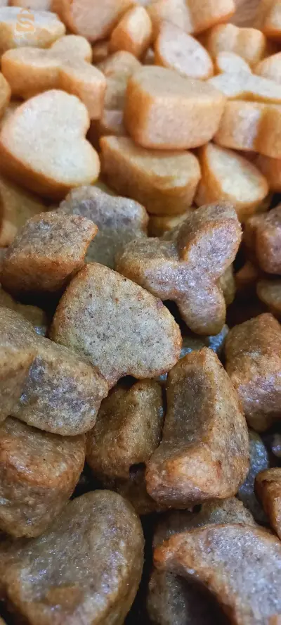 المدينة الجديدة