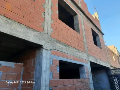 بتي تامو البليدة