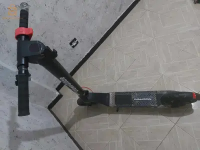 sig