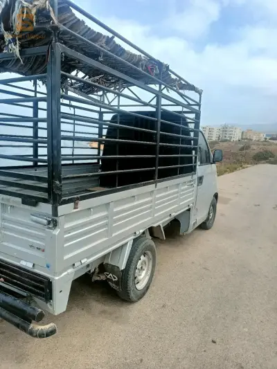 نقل وتوصيل البضائع لكل المسافات
0542495397