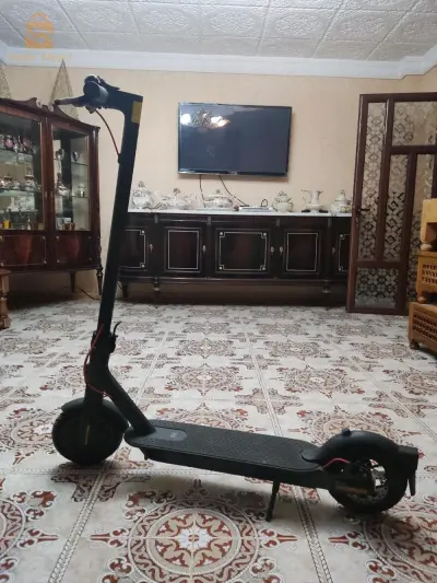 سعيدة