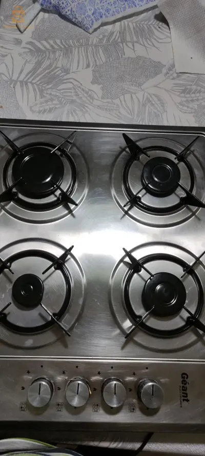 plaque chauffante INOX marque GEANT