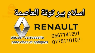 pièces détachées carrosserie et optique Renault