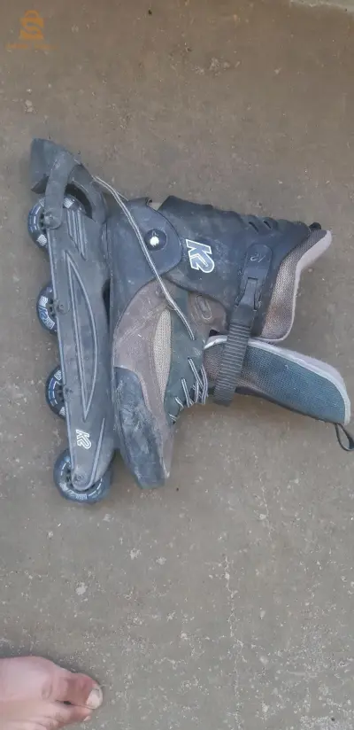 البرواقية