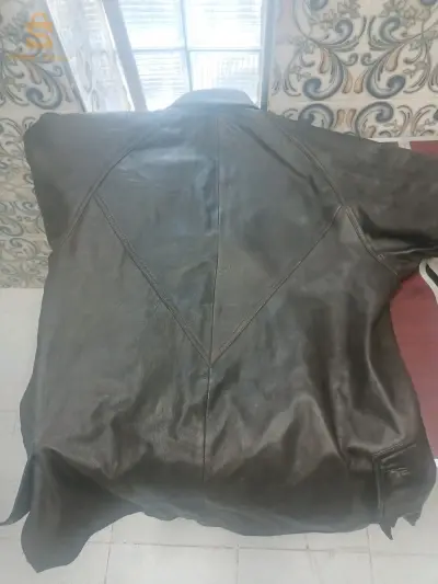 المدية