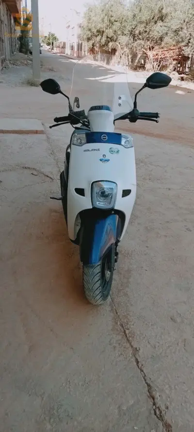 cuxi vos 2020