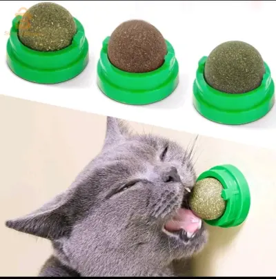 منتج للقطط