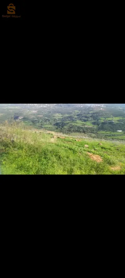 vente un terrain à charfa tigzirt Tizi