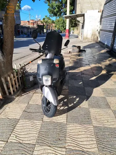 كوكسي 1