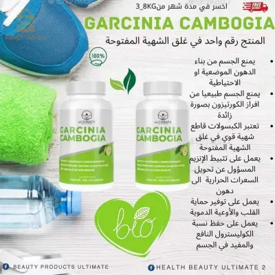 الجزائر