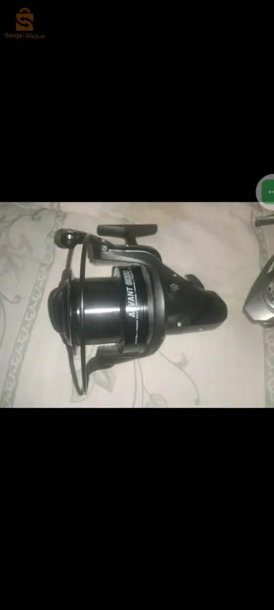موليني حاجا شاب فرونسي