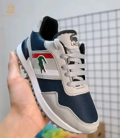 المدية