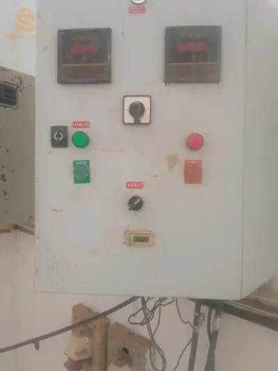 سعيدة