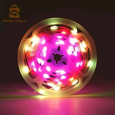Smart LED 10M