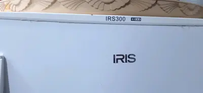 عين تموشنت