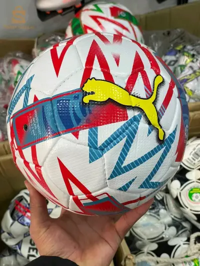 Ballon puma