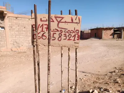 الجلفة حاسي بحبح