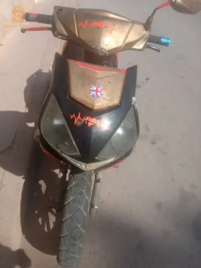 دارلي 2018