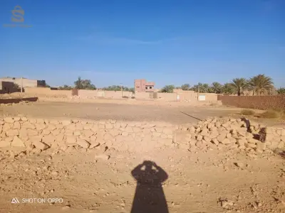 très beau lot de terrain a vendre pour 6000 DZD le mettre carré negociable.. numéro portable 0661690512 Mohamed.