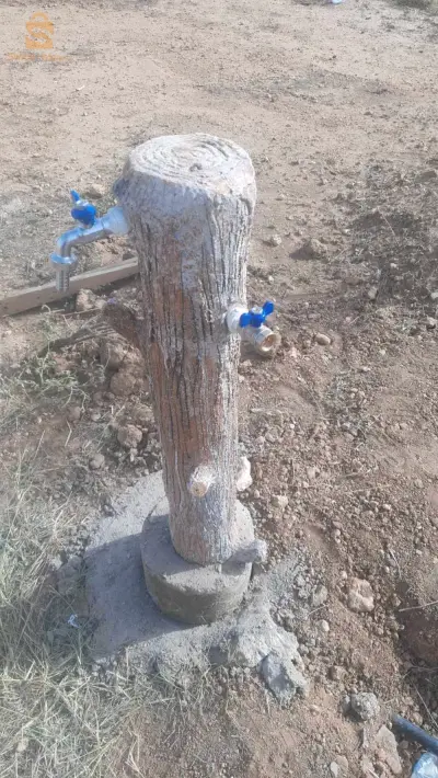البليدة