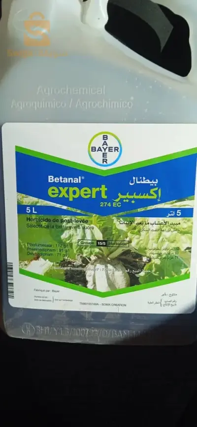 متوفر التوصيل