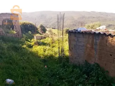 قطعة ارض للبيع مفتاح بلدية جبابرة