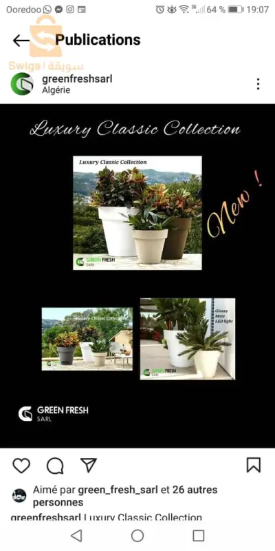 je vous propose des pots. des salons lampe à d'air. pour décoration intérieur ou extérieur plus d'informations me connecter sur le 0657919466
