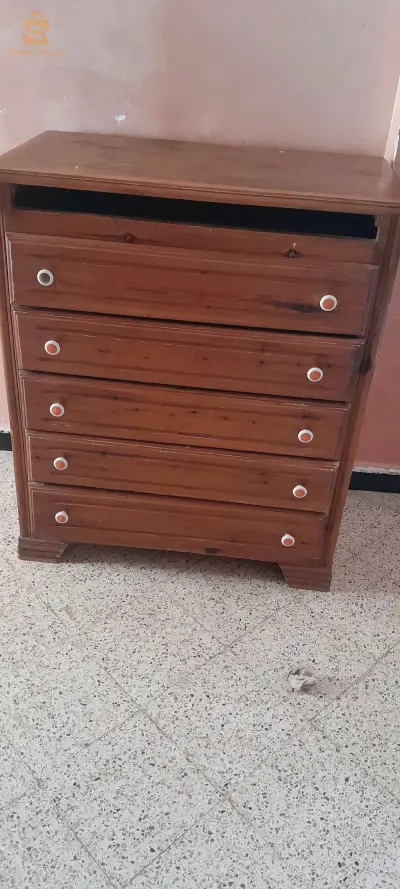 المدية