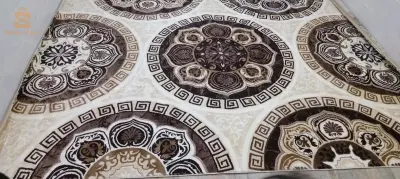 حي ضاية الجلفة