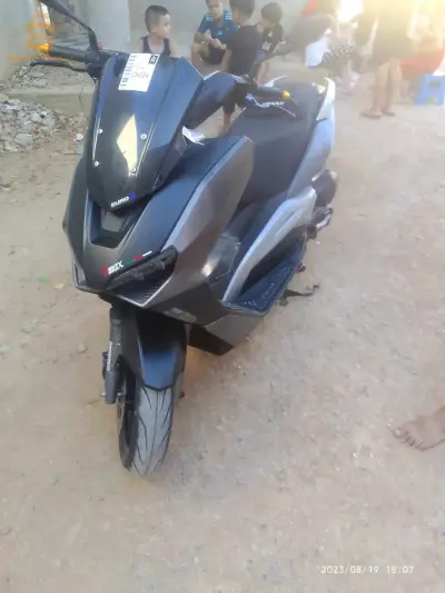 الشطية الشلف