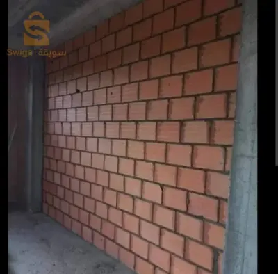 بناء و تلباس و بيطون
