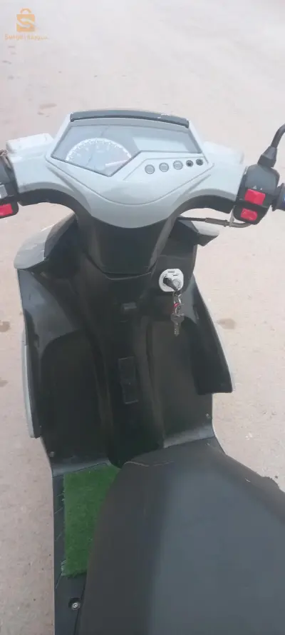 كرمس