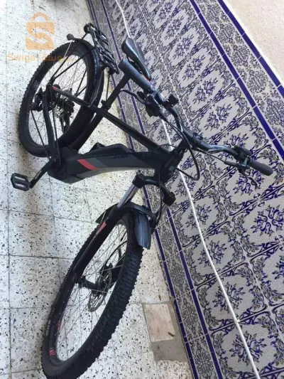 البويرة الاخضرية