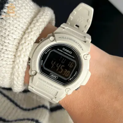 montre pour homme casio