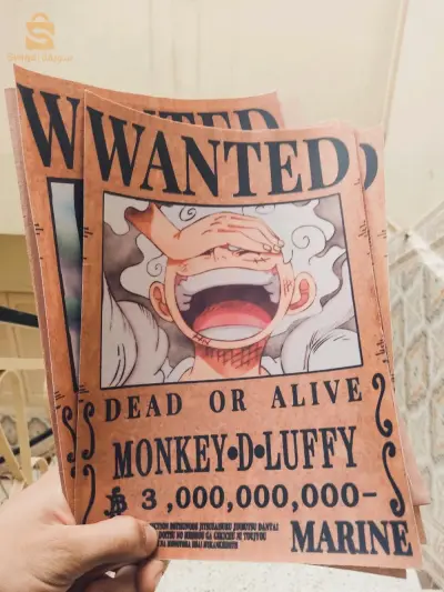 One piece Wanted Poster