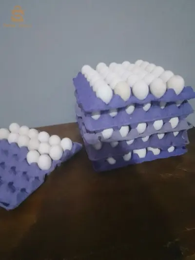 بيض ليجهورن