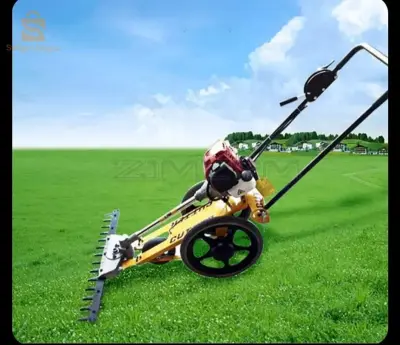حشاشة ايصونص 70سنتيم
