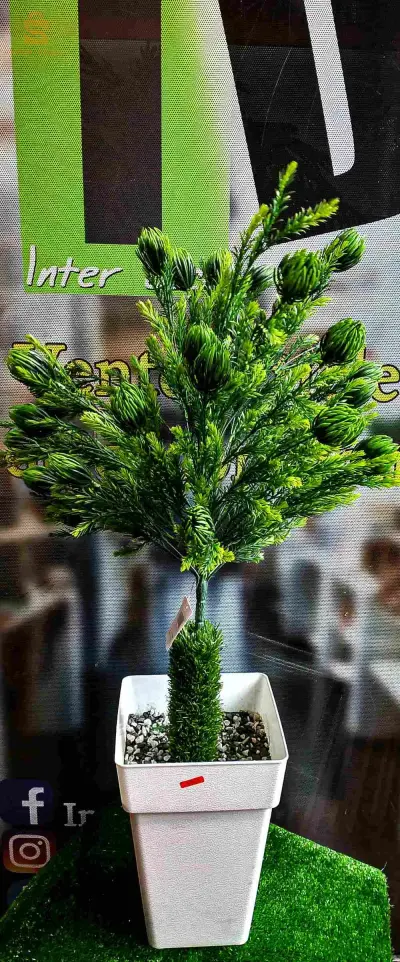 plante artificielle caoutchouc