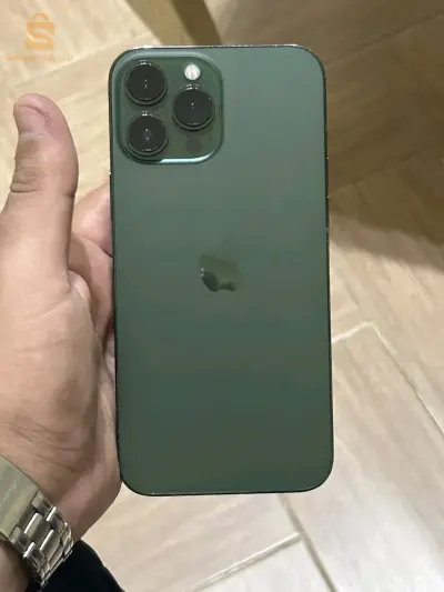 13 pro max