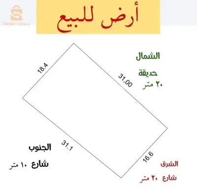 عين الدفلة عين السلطان