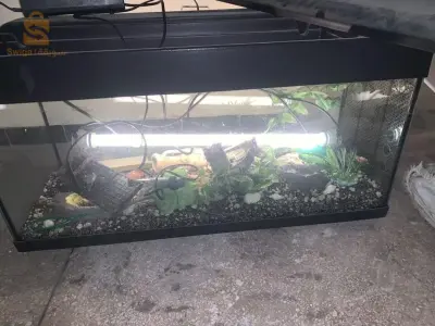 Aquarium