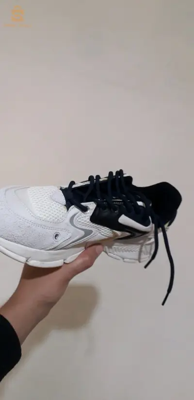 basket lacoste