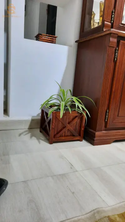 cache pot