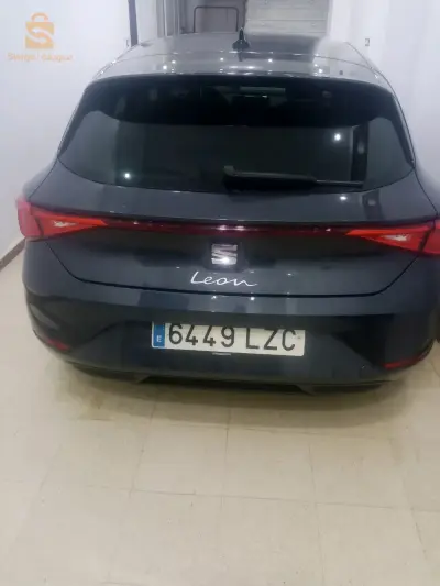 seat lion 2022