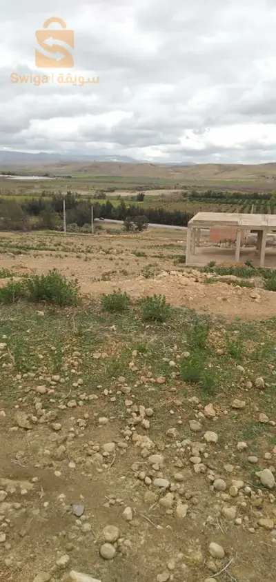 غليزان