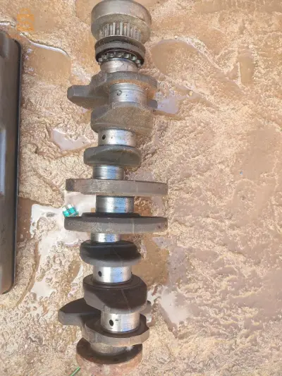 سعيدة