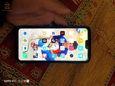 لاسيثي عبد النور