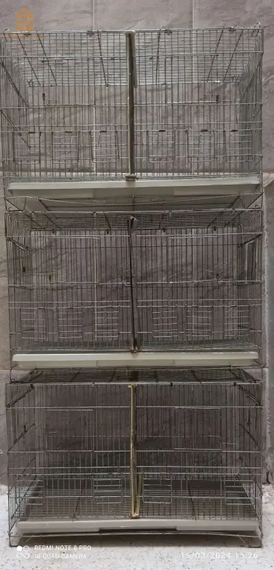تلاتة أقفاص