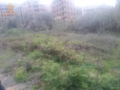 ولاد بونار